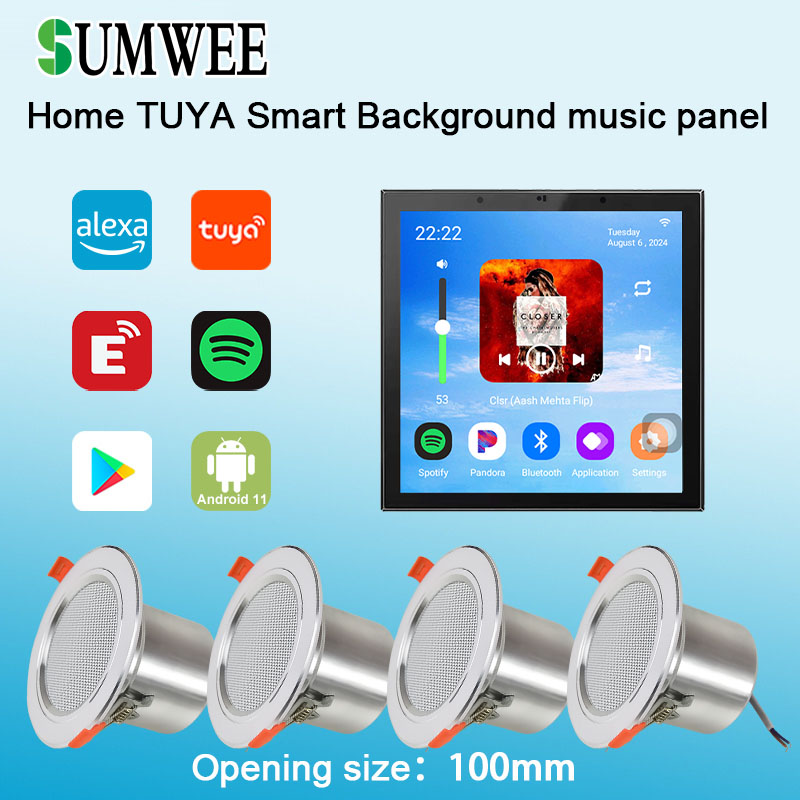 4 Inch Android 11 Tuya Smart H - огляд і ціна Audio Music Background