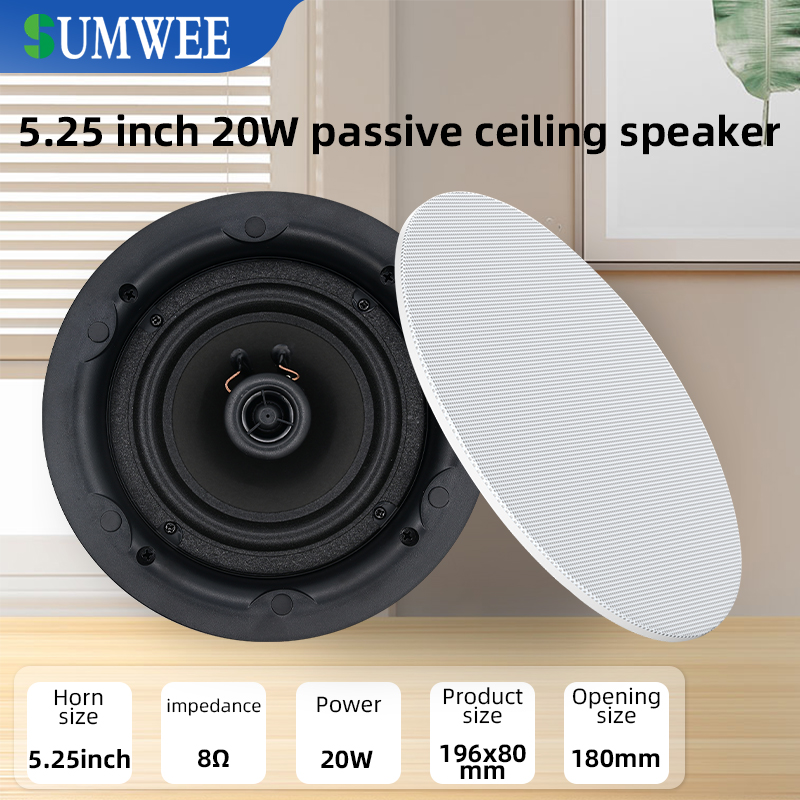 5.25 inch 8 ohm Ceiling Speake - огляд і ціна Audio Music Background
