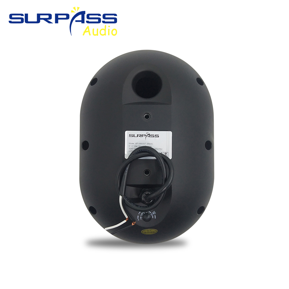 30W Wall-mounted Speaker Water - огляд і ціна Audio Music Background
