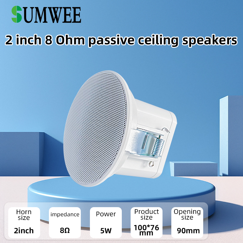 2Inch Mini 8 Ohm Ceiling Speak - огляд і ціна Audio Music Background